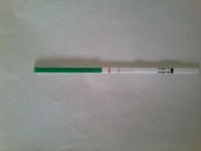 教你如何正确使用早孕试纸
