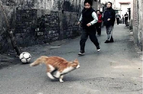 宝宝为啥不能打屁股