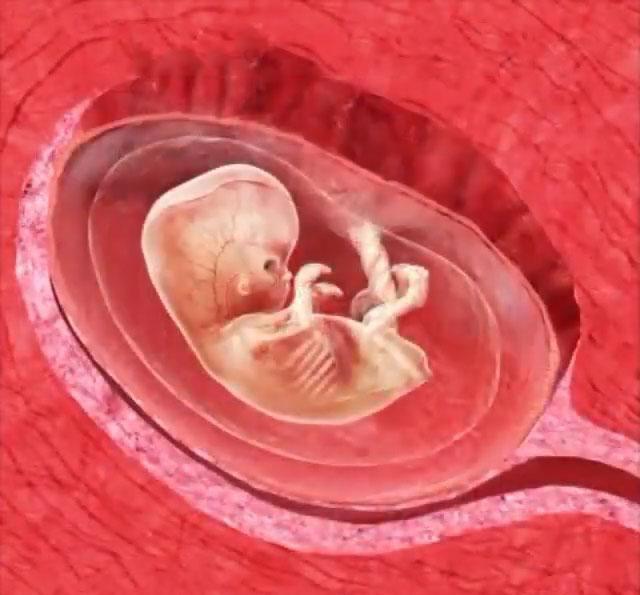 胎儿踢一脚妈妈子宫破了