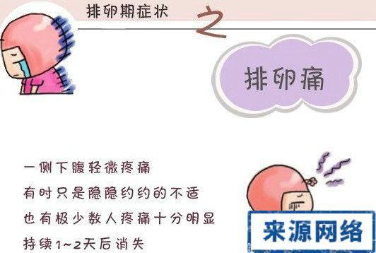 什么是排卵期有什么症状