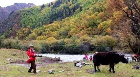 盘点四川最冷门小众的旅游胜地四川春节旅游攻略教你避开人群赏