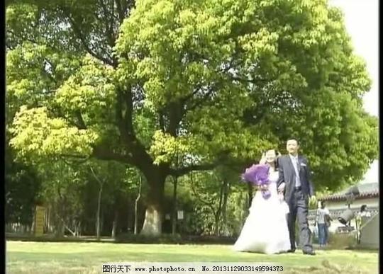 婚庆视频素材
