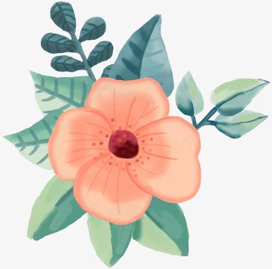手绘手绘装饰小清新鲜花素材
