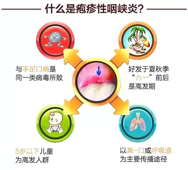 宝宝疱疹性咽峡炎和手足口病的区别
