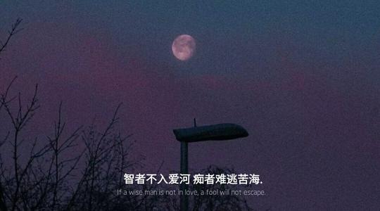 丧文案