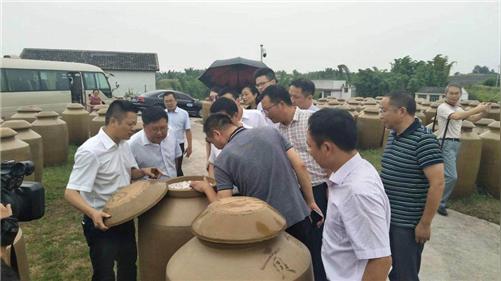 创建农民工创业服务体系,建设实训基地等五大措施,强化人才引进,夯实