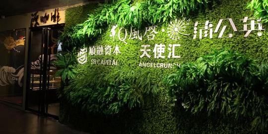 日前,大楚创业探访了位于武汉光谷的风启·蒲公英孵化器.