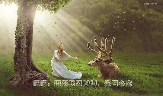 rafyalfazri真实梦境创意合成ps后期视频教程系列第