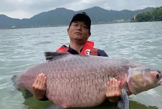 邓刚最新钓鱼400斤视频(邓刚最新钓鱼视频一年赚多少钱)