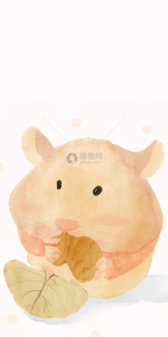 仓鼠手机壁纸图片素材_免费下载400315925_