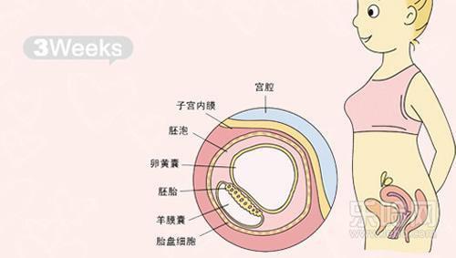 生化两次再次怀孕还会生化吗?