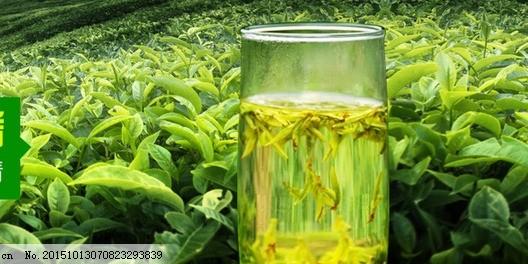 淘宝网站通栏banner茶叶图片网页图片通栏图图片动画图片水果图片绿茶图片苗木图片