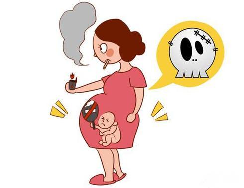 怀孕每月胎儿发育过程