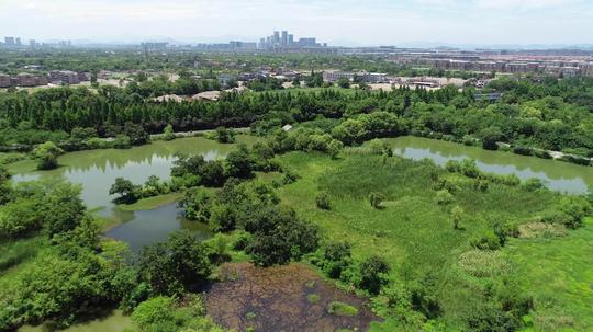 航拍杭州西溪湿地_3840x2160_高清视频素材下载(编号
