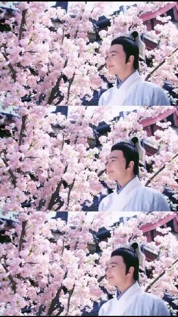 杨洋yyds什么意思