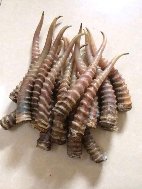 宝宝上火6个部位有暗示