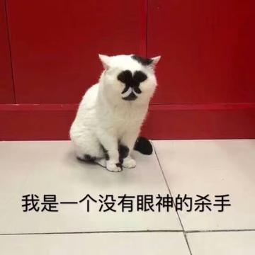  神经病猫搞笑QQ幽默表情包