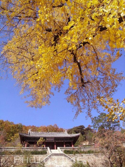 泰山玉泉寺春,夏,秋,冬的美丽景色之秋日