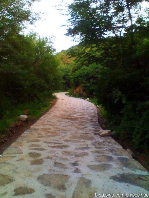 林间小路,三个月没来,泥路修成石子路咧