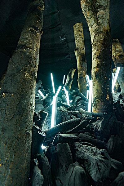 魔幻森林_图片大全—全景创意图库（quanjing.com）中国领先的正版图片视频素材网站