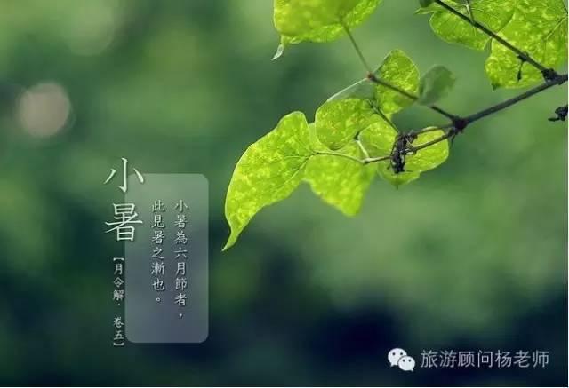 2020今日小暑朋友圈文案