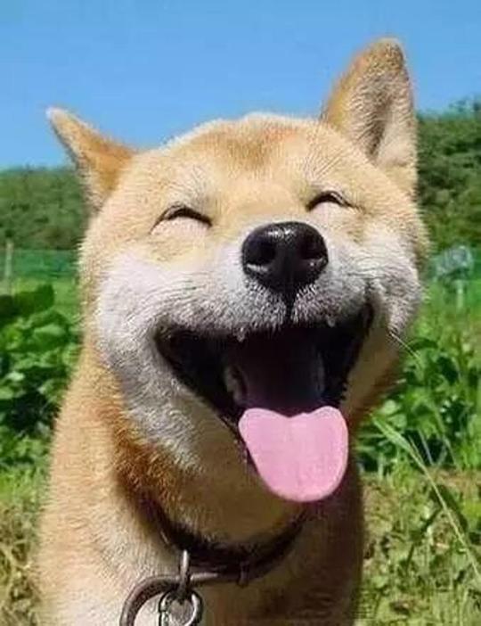 世界微笑日|你,今天笑了吗?