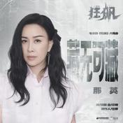 藏无可藏(那英)
