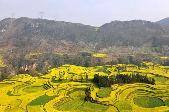 【罗平菜花香摄影图片】罗平风光摄影_山水间