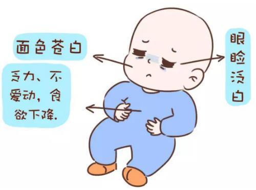 婴儿判断贫血的指标