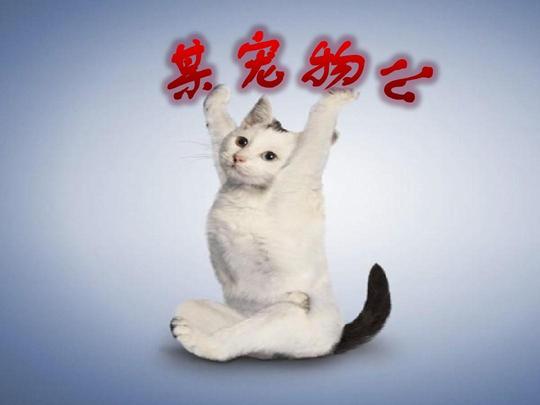 创业管理——某宠物公司融资计划书ppt
