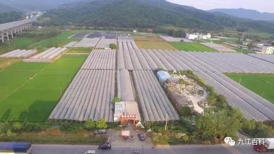 分享创业故事:南昌夫妻在庐山市温泉镇花四年时间建成