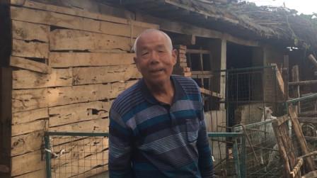 养羊到底赚钱吗?7口人的农村大爷靠20只羊养家，一年收入多少钱