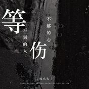 等不到的人伤不够的心(韩小欠)