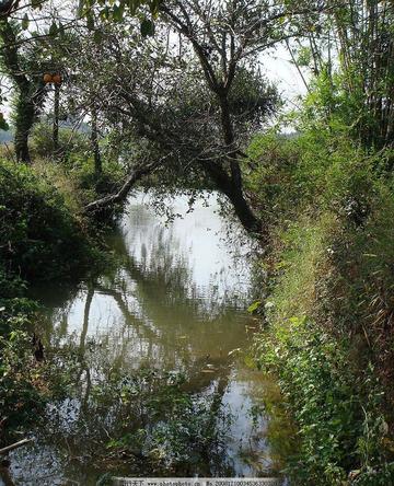 赣州市附近哪里有小河流