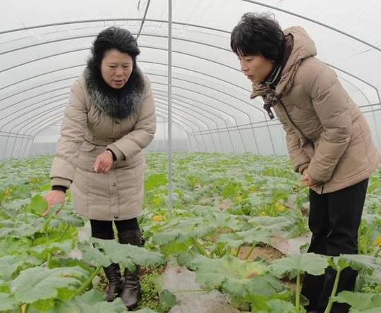 在资阳市雁江区保和镇晏家坝村考察青年创业项目