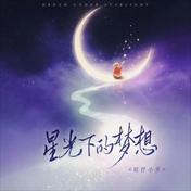 星光下的梦想(旺仔小乔)