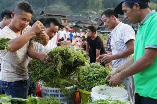 打工累了，不妨选择回农村创业，这几个创业点子，“钱”景很好