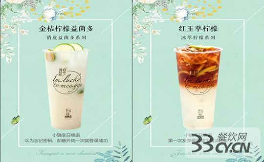 小确茶这个项目怎么样