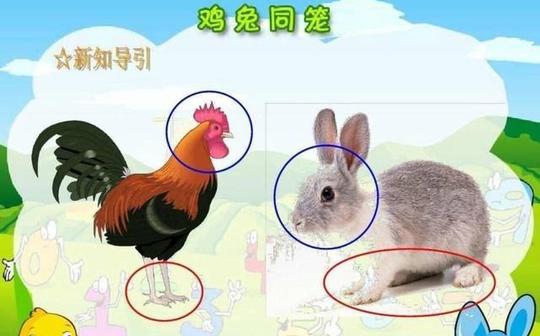 鸡兔同笼课本里消失，是向西方“快乐”教育看齐，还是走向极端
