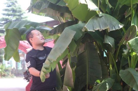 创业创新看西安|70后在荆山塬上创办农家乐:我相信日子会越来越好的