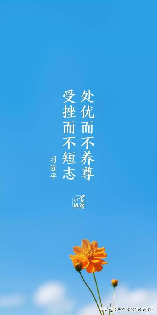 5个零投资创业项目(2021年做什么生意投资小，回本比较快，明年想自己创业了?)"