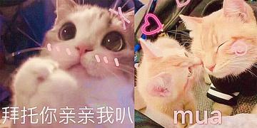 情侣激情爱抚爱情gif动图