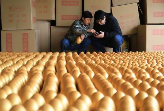 临沂小伙拿5000元礼金创业，靠贷款起死回生，功成后带全村致富