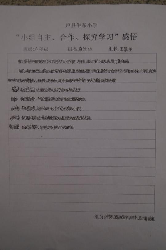 小组合作学习感悟集