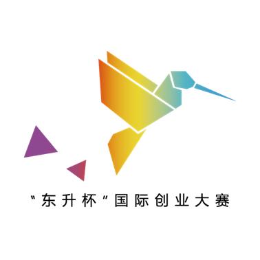 东升杯国际创业大赛