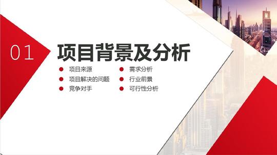 简约商业项目计划书创业计划书大学生创业大赛商务ppt