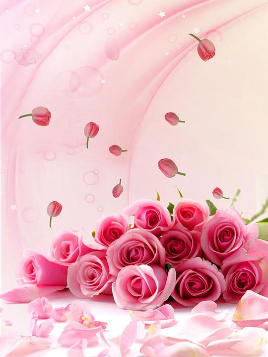 梦幻粉玫瑰花图片素材下载,粉玫瑰,鲜花,花海,花蕾,花蕊,唯美,浪漫