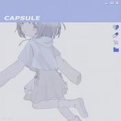 カプセル(鎖那)