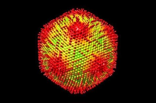 科学家发现恐怖巨型美杜莎病毒可将生物体直接变成坚硬石头