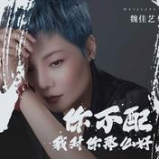 你不配我对你那么好(魏佳艺)